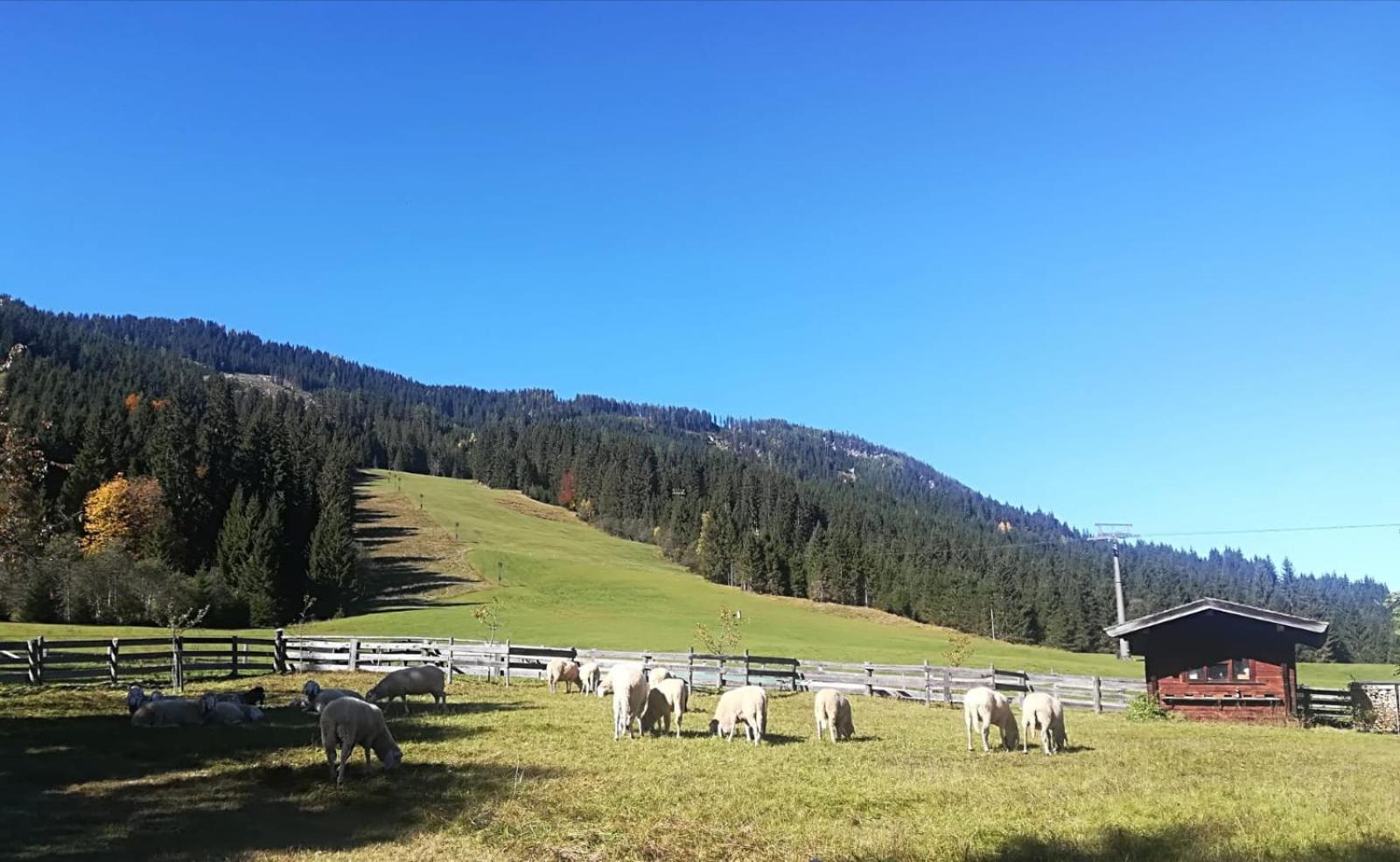 Отель Walchauhof Флахау Экстерьер фото